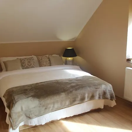 Stefanik 招待所 3*